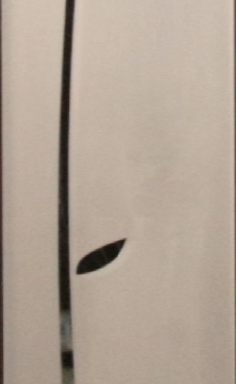 Стекло Стекло Карат 1