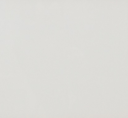 Стекло AGS белое матовое