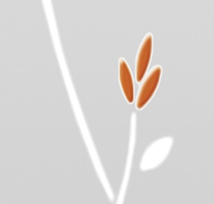 Стекло Grand 13 зеркало п.ф