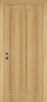 межкомнатная дверь ДГ Блис